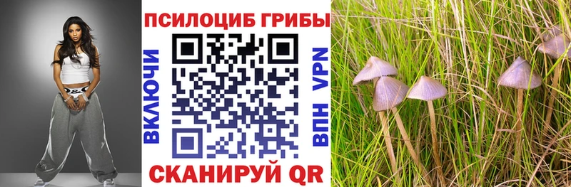 Псилоцибиновые грибы прущие грибы  где можно купить наркотик  Дзержинский 