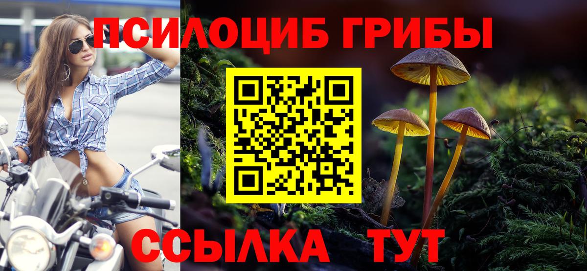 Мефедрон   МДМА  Бошки Шишки  Дзержинский  Амфетамин кристаллы  ГАШ  КОКАИН  Вход с VPN 