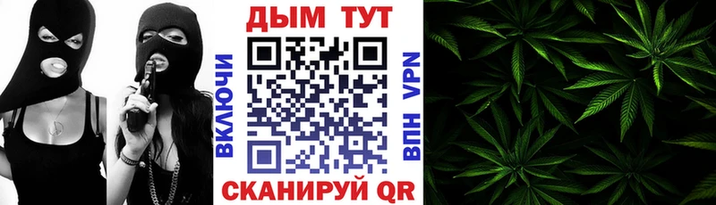 KRAKEN зеркало  где купить наркоту  Дзержинский  Конопля гибрид 